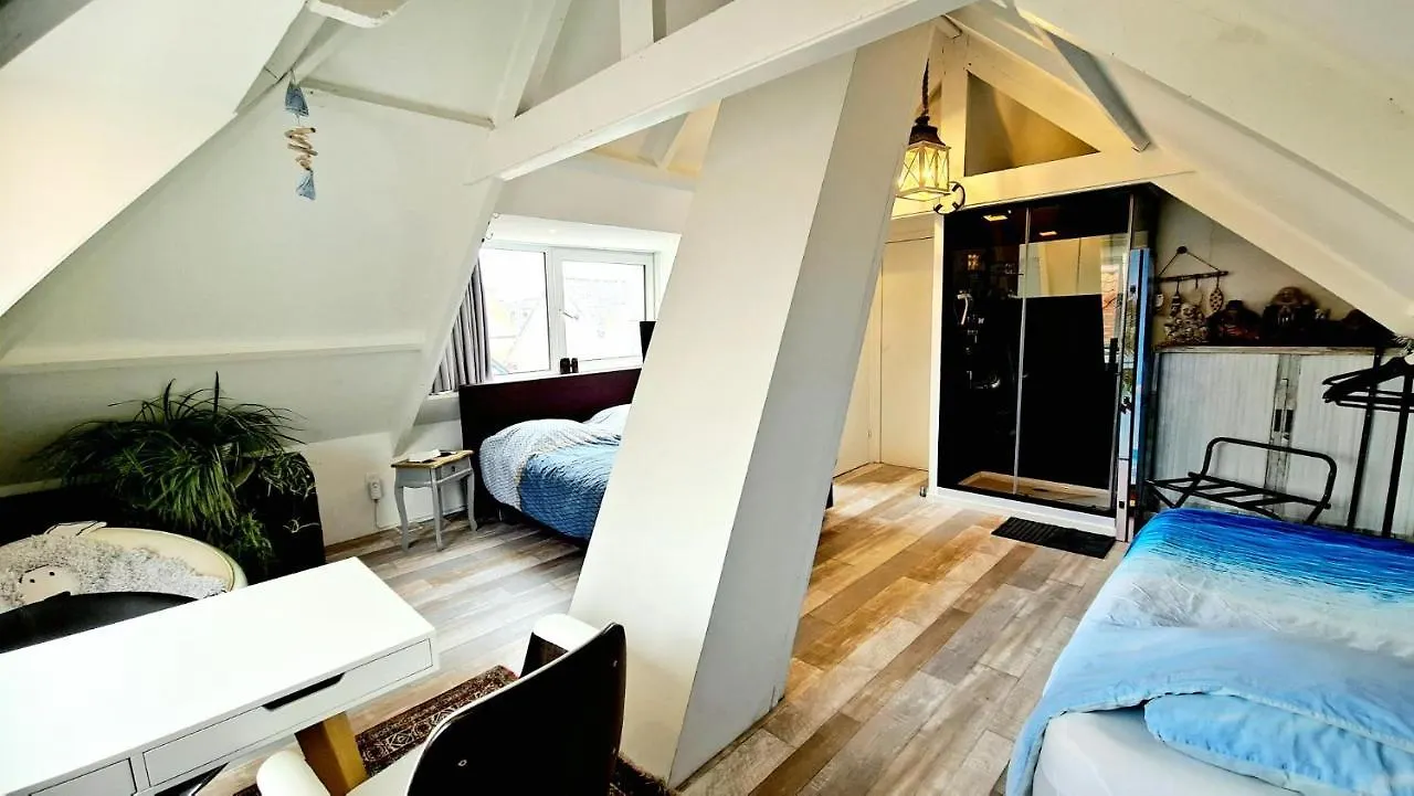 The Blue Dodo Apartment Zandvoort